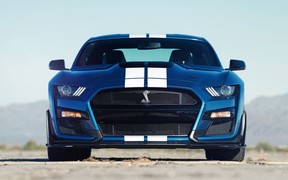 Mustang Shelby