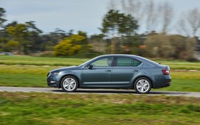 Skoda Octavia 2019 Skoda Octavia 2019