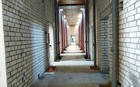 Бестужевские сады 13.08 Бестужевские сады 13.08