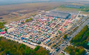 AgroExpo-2019 AgroExpo-2019