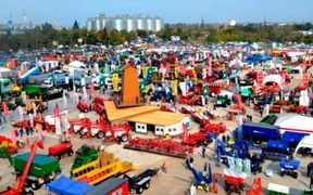 AgroExpo-2019 AgroExpo-2019
