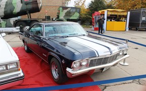 Impala Impala