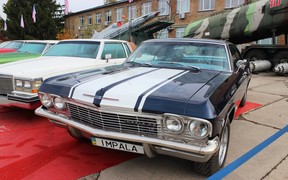 Impala Impala