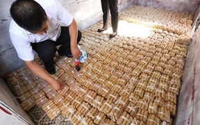 Coins Coins