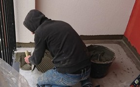 Семицвіт Семицвіт