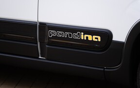 Pandina_EXT