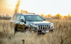 Toyota Prado - внешность 2