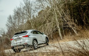 Экстерьер Lexus NX Hybrid