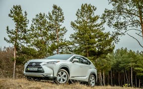 Экстерьер Lexus NX Hybrid