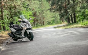 SYM GTS 300i_лес