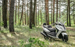 SYM GTS 300i_лес SYM GTS 300i_лес
