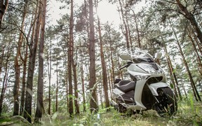 SYM GTS 300i_лес SYM GTS 300i_лес