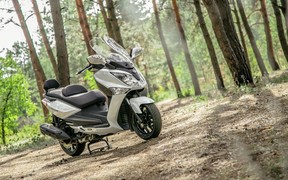 SYM GTS 300i_лес SYM GTS 300i_лес