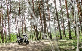 SYM GTS 300i_лес SYM GTS 300i_лес
