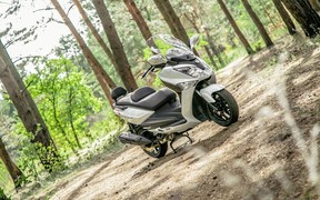SYM GTS 300i_лес SYM GTS 300i_лес