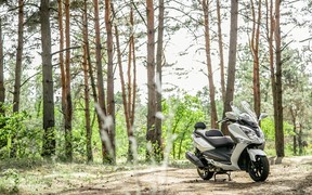 SYM GTS 300i_лес SYM GTS 300i_лес