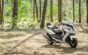 SYM GTS 300i_лес SYM GTS 300i_лес