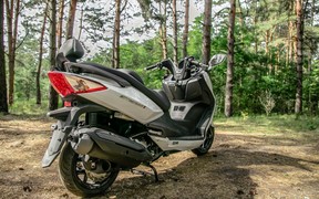SYM GTS 300i_лес SYM GTS 300i_лес