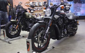 Harley Davidson