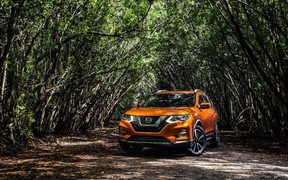 Nissan Rouge 2017 Nissan Rouge 2017