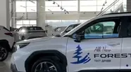 Shorts video Subaru Forester Touring