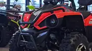 Shorts video Linhai Z Base