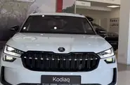 Shorts video Skoda Kodiaq Sportline
