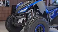 Shorts video Comman Rival Base