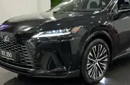 Shorts video Lexus RX Executive