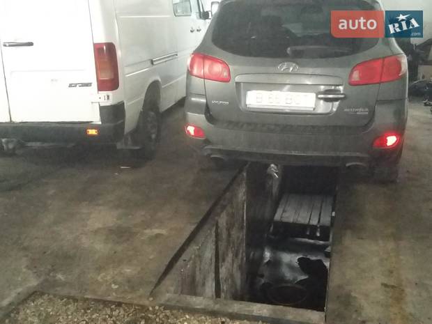 Iftodi Gelu PFA Iftodi Gelu PFA